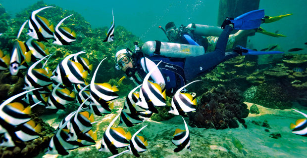 Scuba Diving at Payar Island